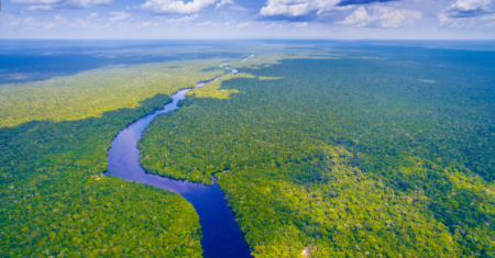 O Dia da Amazônia: Celebrando e Preservando a Diversidade do Pulmão do Planeta