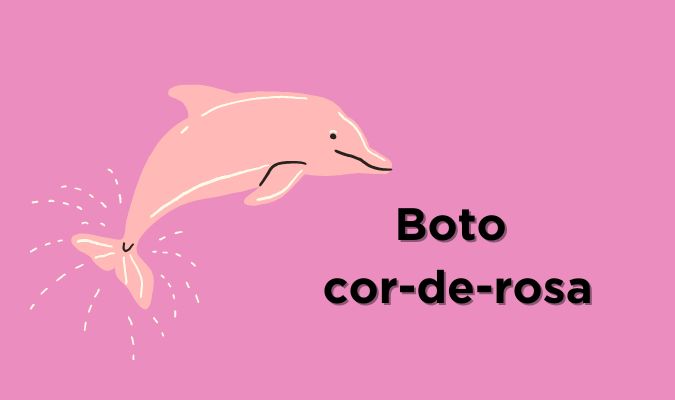 Lendas do Folclore Brasileiro: boto cor-de-rosa